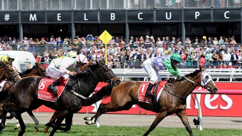 2015 melbourne cup results|Prince of Penzance wins 2015 Melbourne Cup .